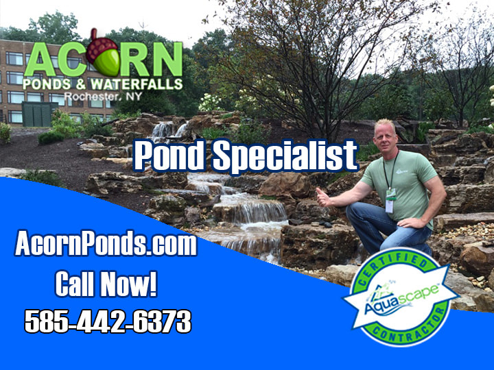 Waterfall-Pond Maintenance & Repair Company-Monroe County-Western NY-Acorn Ponds